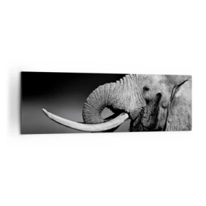 Quadro su tela - Stampe su Tela - Ritratto in bianco e nero di un elefante di profilo - 160x50cm - Si, adesso va bene - Decorazione murale moderna per soggiorno e camera da letto ARTTOR