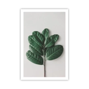 Poster - Il disegno della natura stessa - 61x91 cm