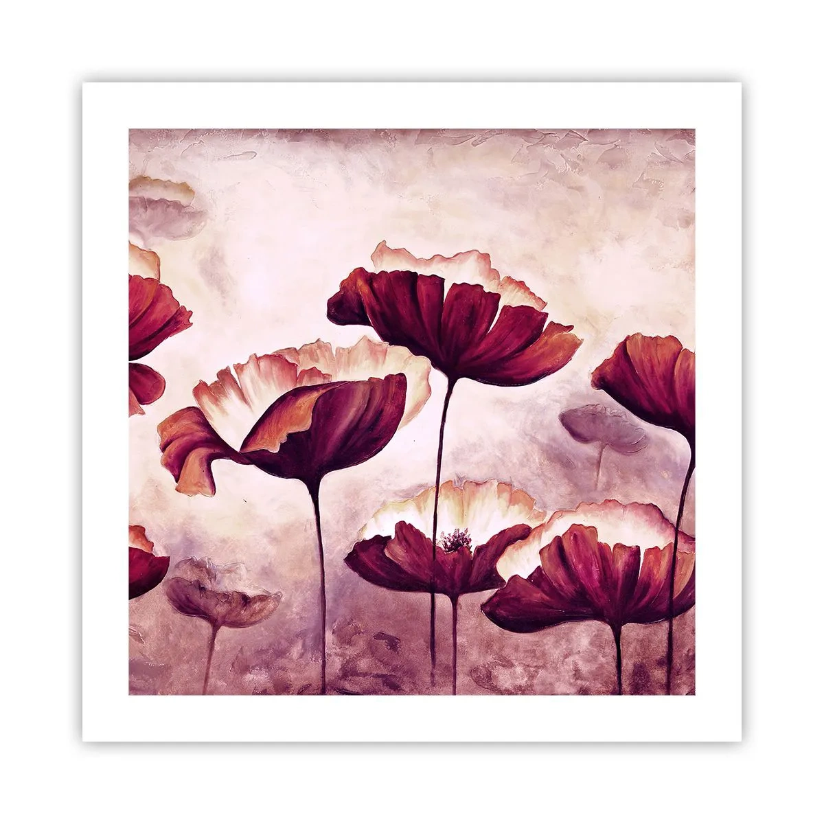 Poster - Petalo rosso e bianco - 50x50 cm