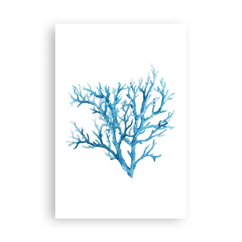 Poster - Filigrana marina - 61x91 cm