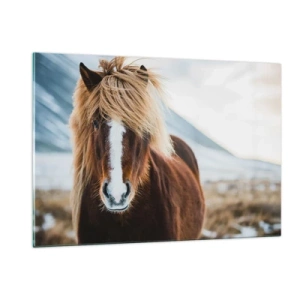 Quadro su vetro - Un cavallo sullo sfondo di un paesaggio montano invernale - 120x80cm - Senti la libertà? - Decorazione murale moderna per soggiorno e camera da letto ARTTOR