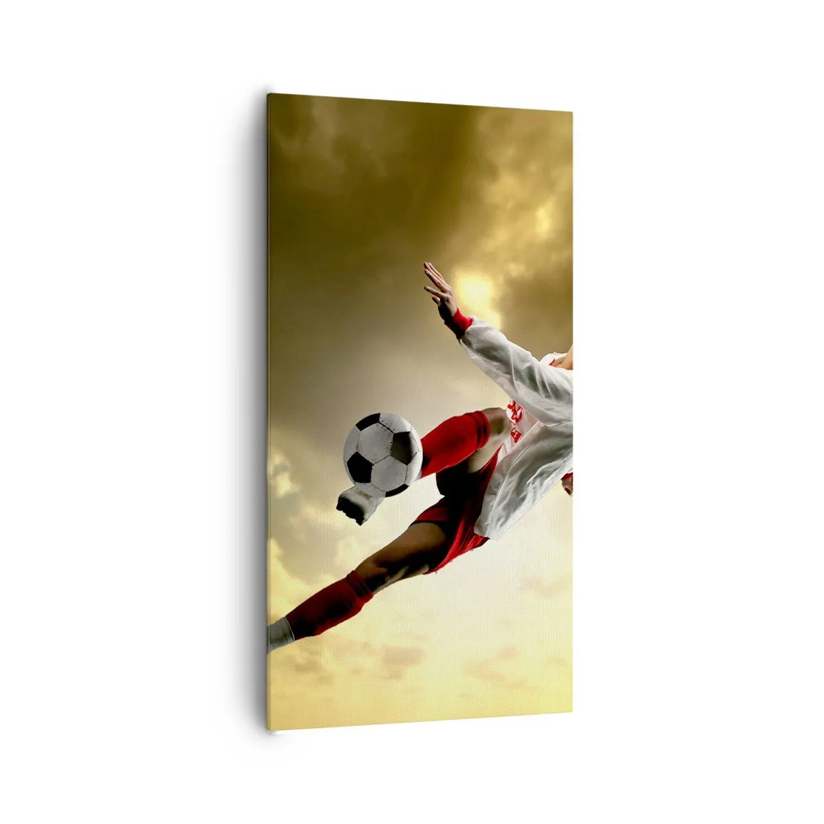 Quadro su tela - Stampe su Tela - Il cielo del calcio - 65x120 cm