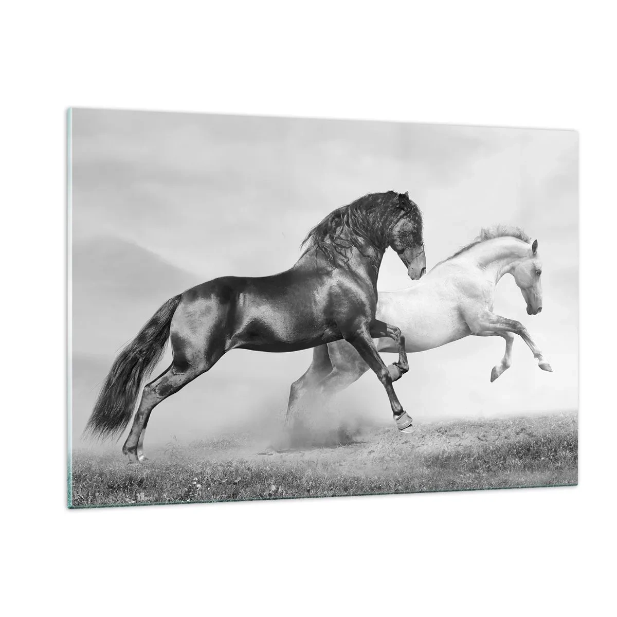 Quadro su vetro - Cavalli bianchi e neri in un ambiente dinamico - 120x80cm - Angeli e demoni - Decorazione murale moderna per soggiorno e camera da letto ARTTOR