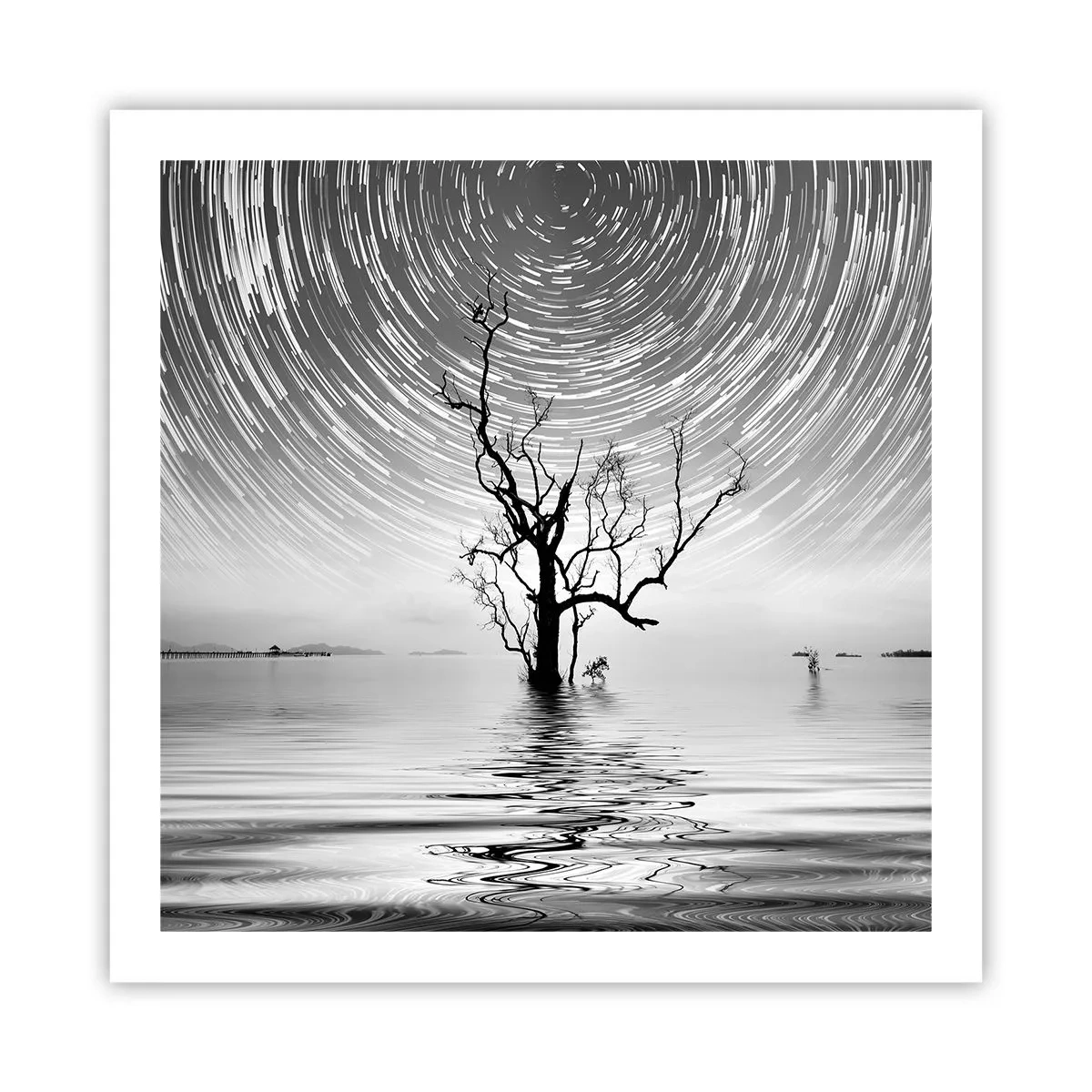 Poster - Sinfonia della natura - 60x60 cm