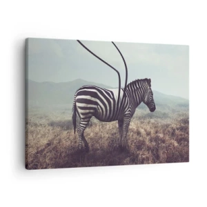 Quadro su tela - Stampe su Tela - Una zebra surreale contro un paesaggio erboso - 70x50cm - Attenzione! Difetto - Decorazione murale moderna per soggiorno e camera da letto ARTTOR