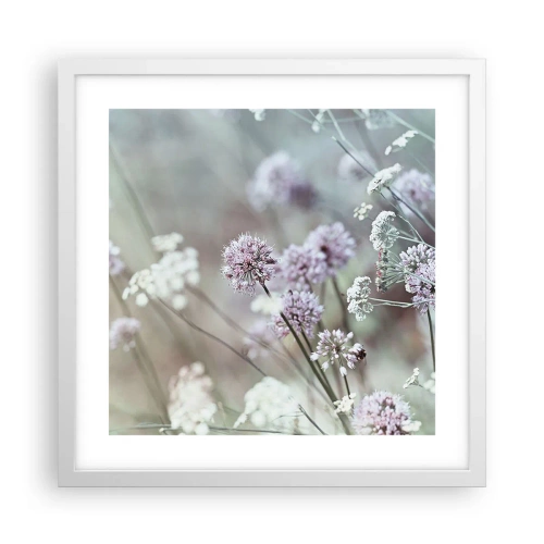 Poster in cornice bianca - Le dolci filigrane delle erbe - 40x40 cm