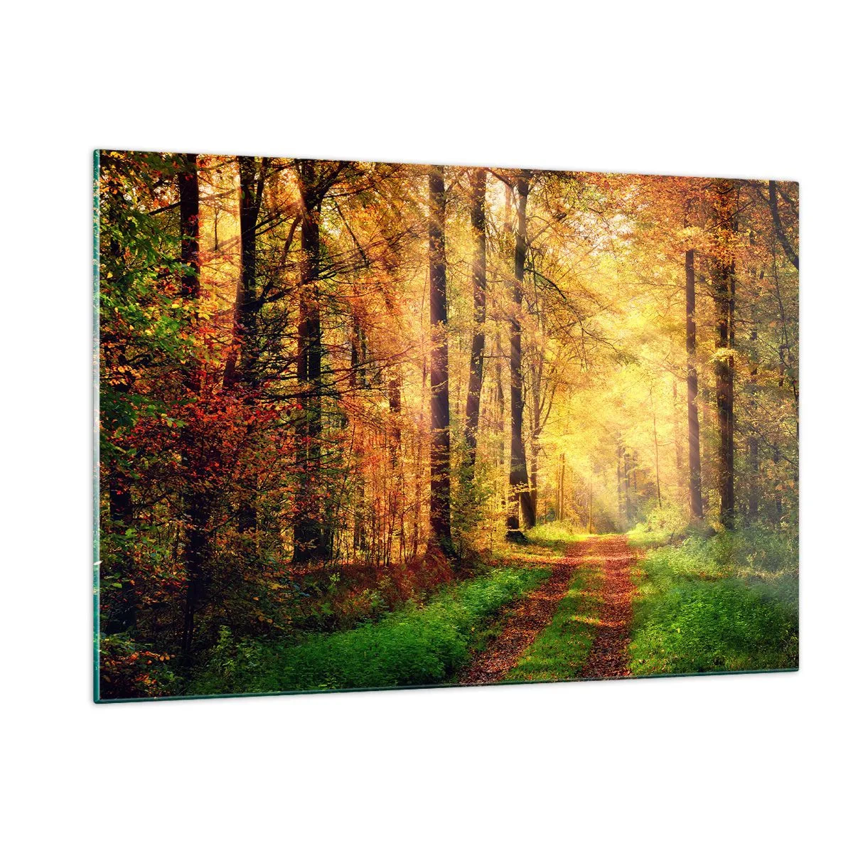 Quadro su vetro - Sentiero autunnale nel bosco con raggi di sole - 120x80cm - Il silenzio d'oro del bosco - Decorazione murale moderna per soggiorno e camera da letto ARTTOR