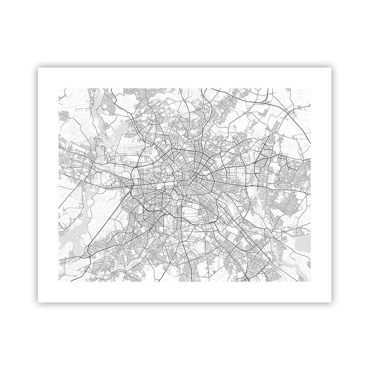 Poster - Il fiore di Berlino - 50x40 cm
