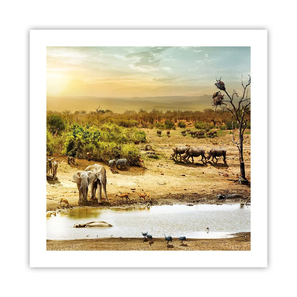 Poster - "Un fiume usciva da Eden…" - 50x50 cm