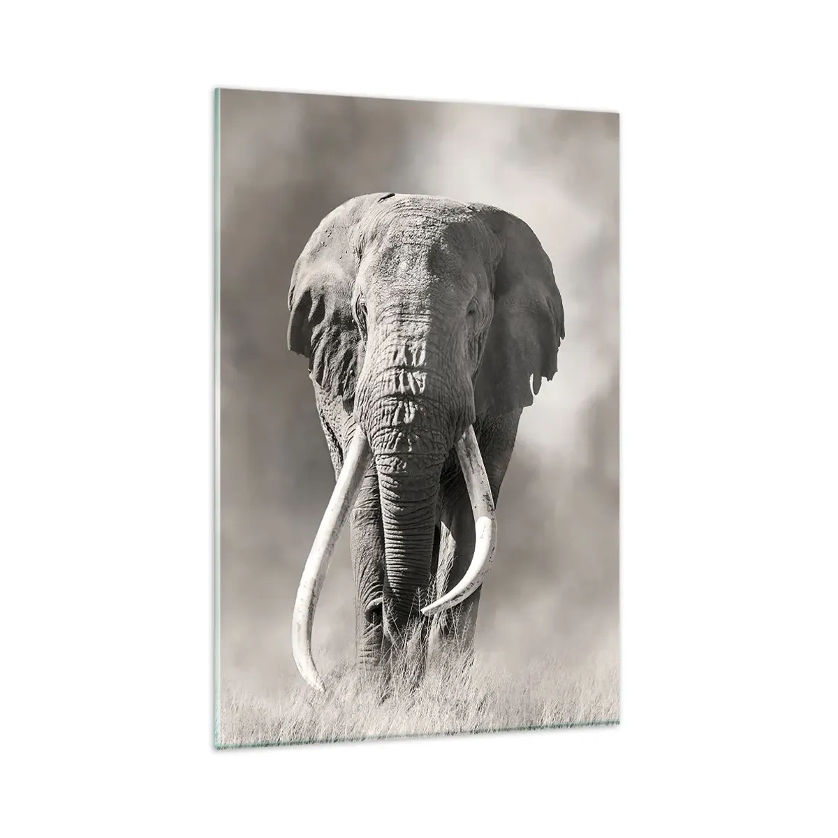 Quadro su vetro - Patriarca africano - 80x120 cm