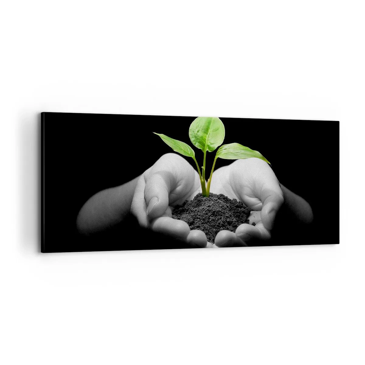 Quadro su tela - Stampe su Tela - Amo la natura, la proteggo - 100x40 cm