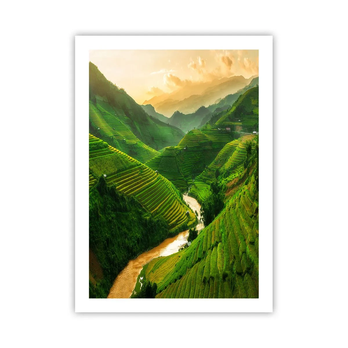 Poster - Pittoresche terrazze di riso in una valle verde - 50x70cm - Valle del Vietnam - Decorazione murale moderna per soggiorno e camera da letto ARTTOR