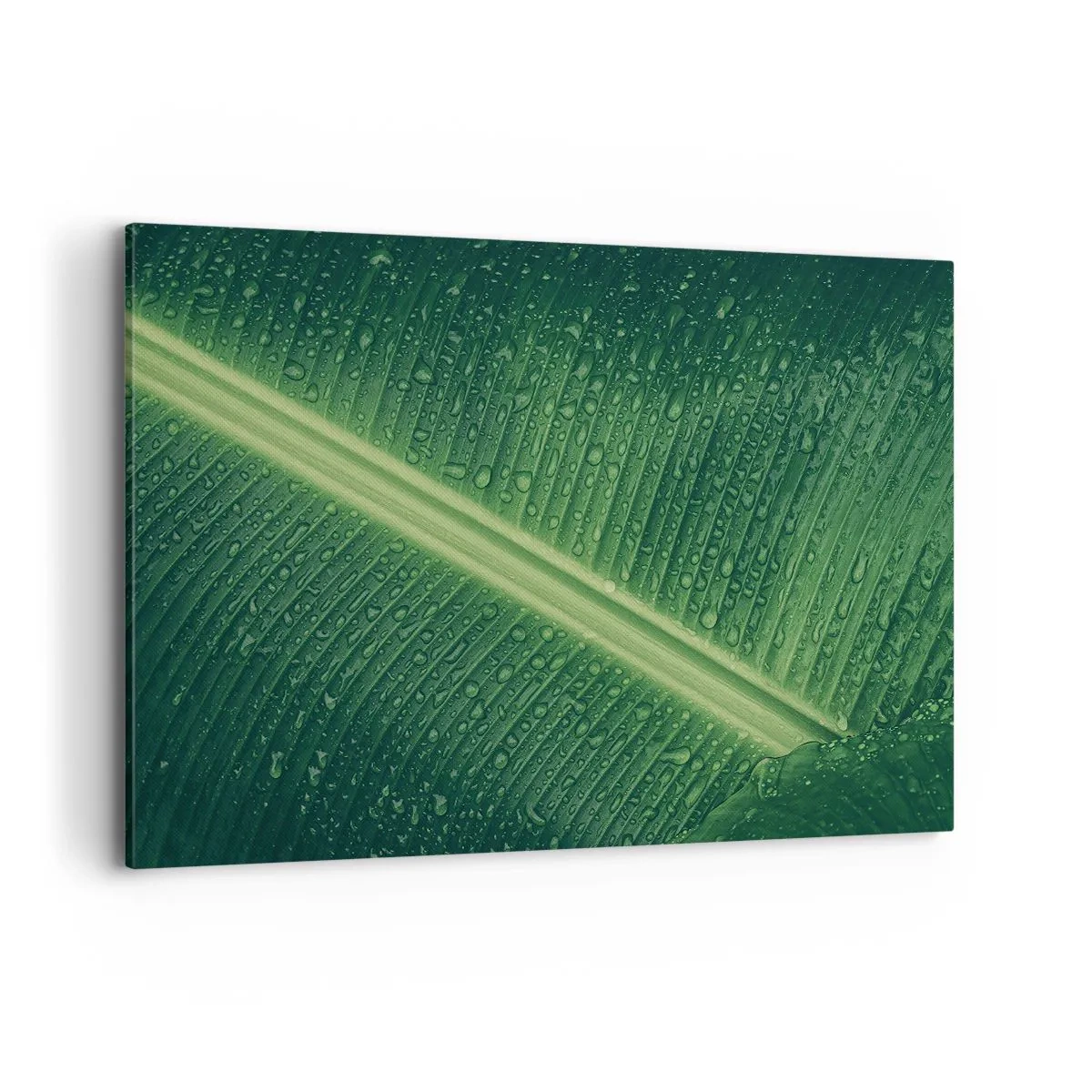 Quadro su tela - Stampe su Tela - Una foglia verde con gocce d'acqua sulla sua superficie - 120x80cm - La struttura del verde - Decorazione murale moderna per soggiorno e camera da letto ARTTOR