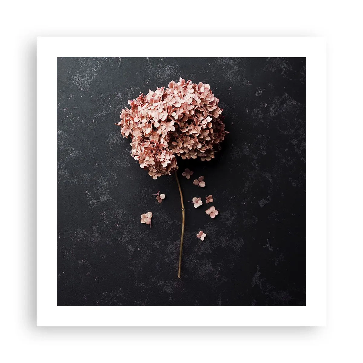 Poster - Un vero segno romantico - 50x50 cm