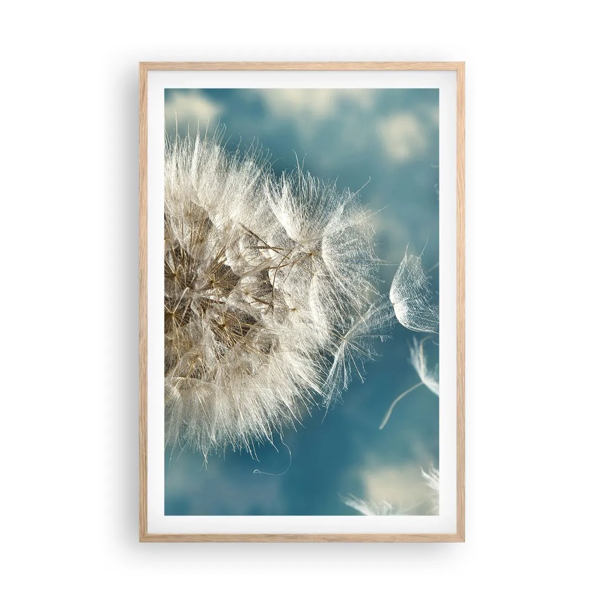 Poster in cornice rovere chiaro - Il respiro dell'angelo - 61x91 cm