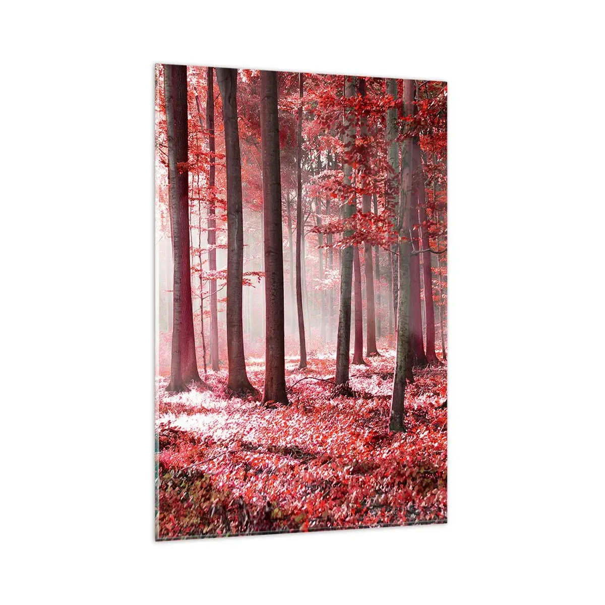 Quadro su vetro - Una splendida foresta dalle tonalità rosse con raggi di luce che penetrano attraverso gli alberi - 80x120cm - Anche rosso è bello - Decorazione murale moderna per soggiorno e camera da letto ARTTOR