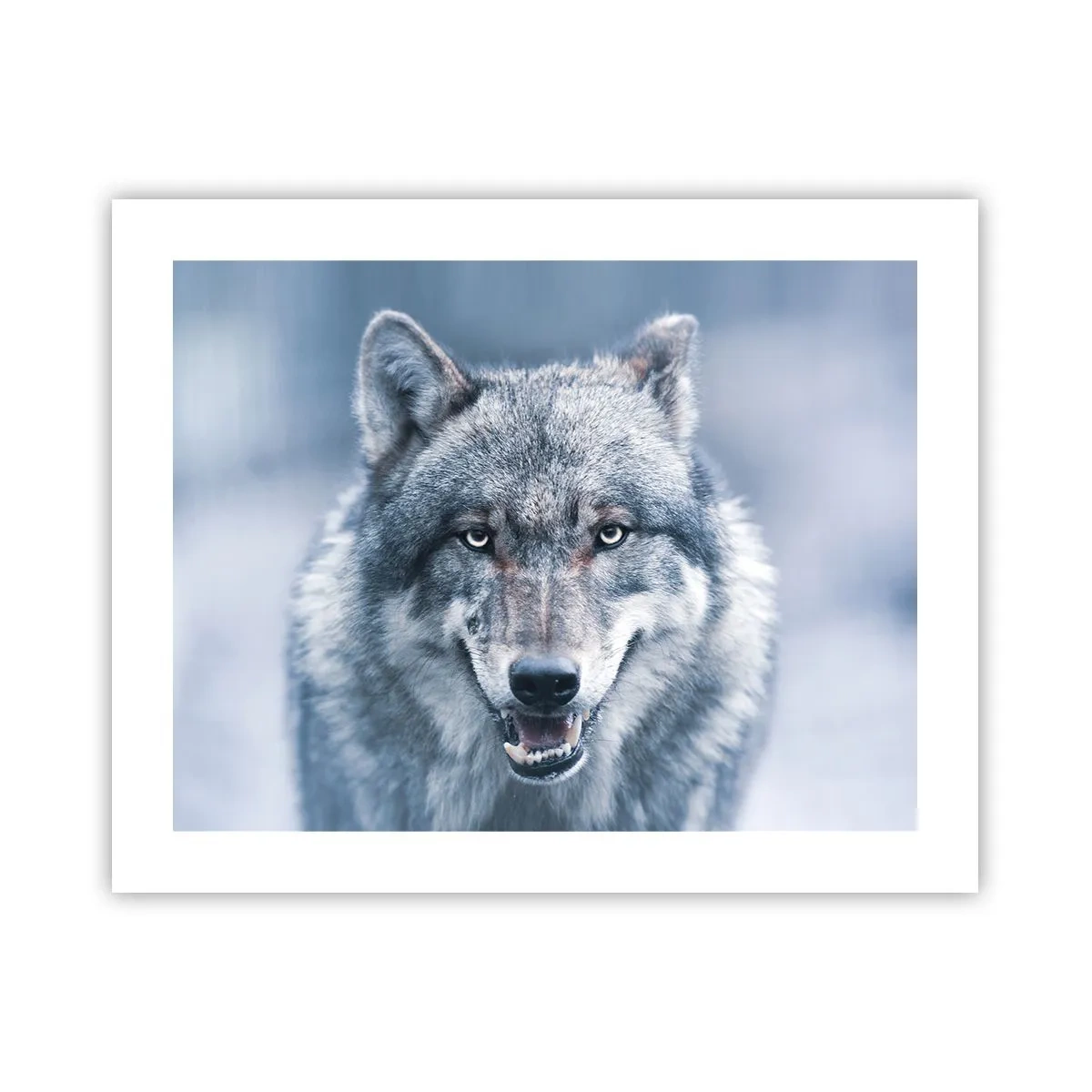 Poster - Accetti la sfida? - 50x40 cm