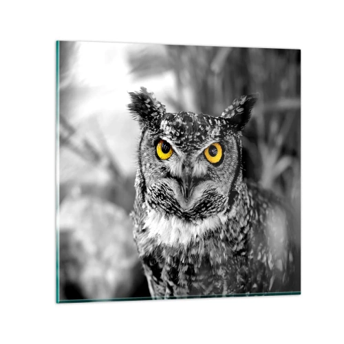 Quadro su vetro - Non si può nascondere niente - 60x60 cm