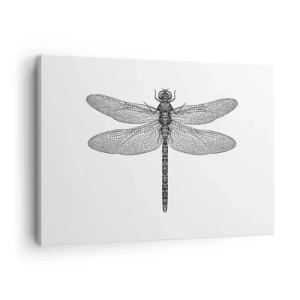 Quadro su tela - Stampe su Tela - Disegno in bianco e nero di una libellula su sfondo bianco in stile minimalista - 70x50cm - La precisione della natura - Decorazione murale moderna per soggiorno e camera da letto ARTTOR
