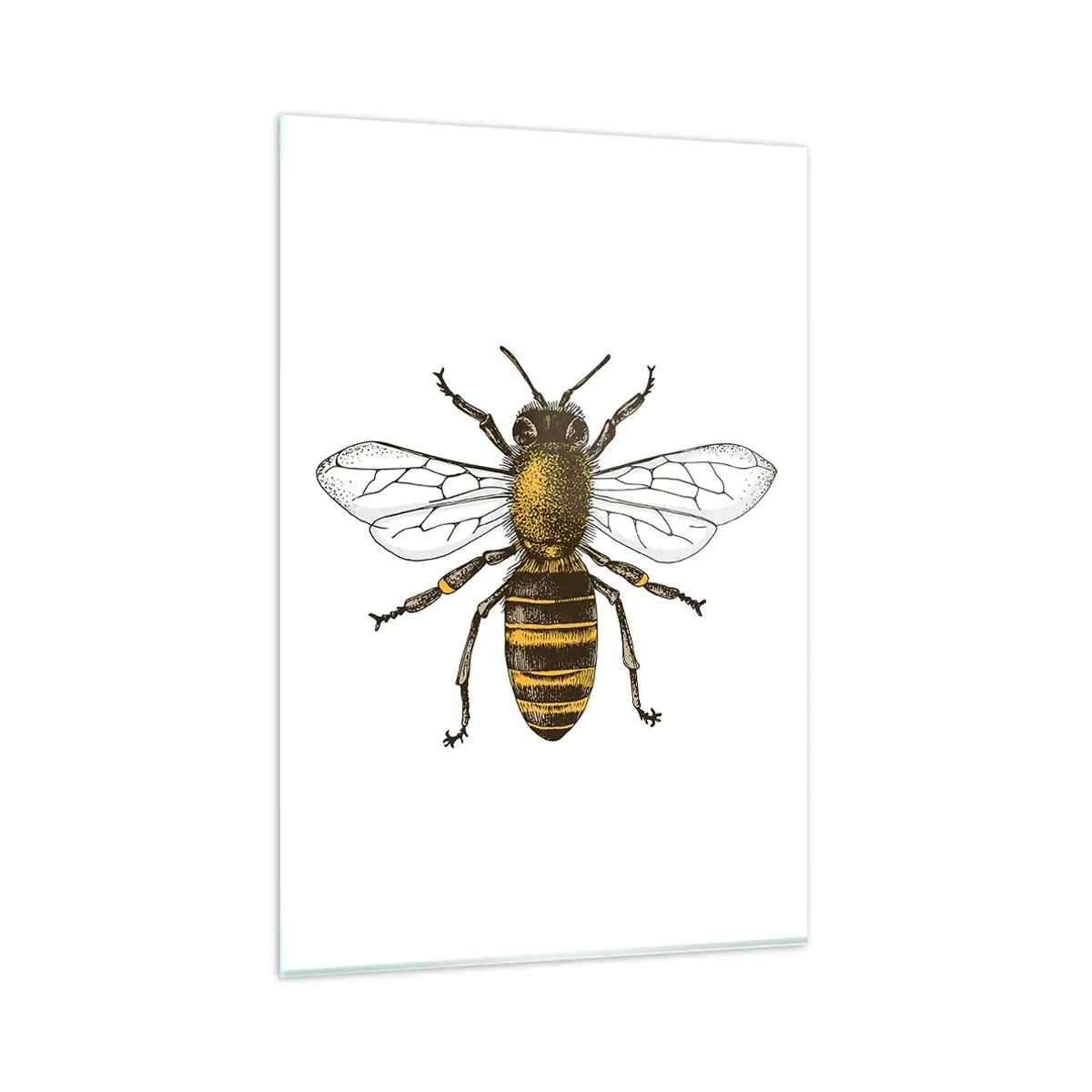 Quadro su vetro - Illustrazione dettagliata di un'ape su sfondo bianco - 80x120cm - Bella e buona - Decorazione murale moderna per soggiorno e camera da letto ARTTOR