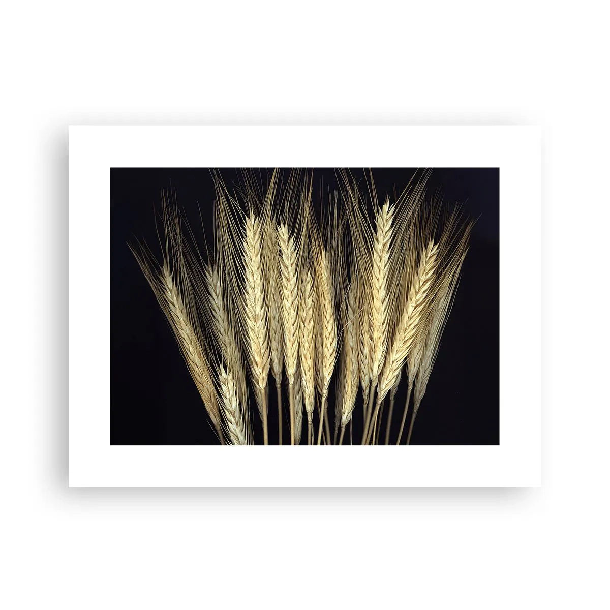 Poster - Magia rustica - 40x30 cm