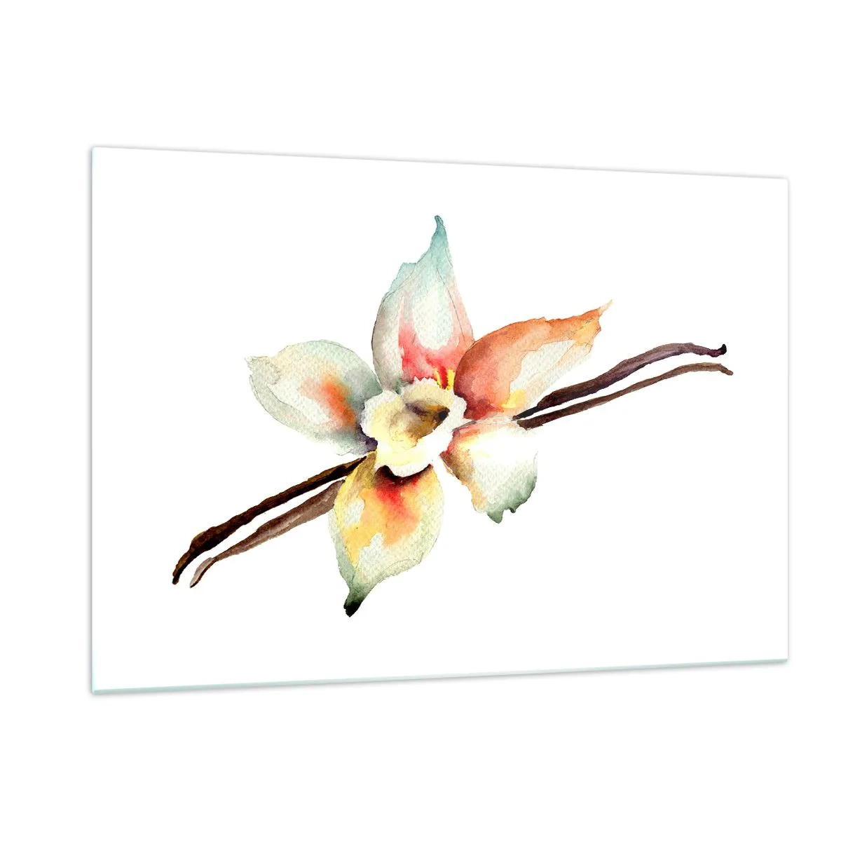 Quadro su vetro - Illustrazione ad acquerello di un fiore di vaniglia su sfondo bianco - 120x80cm - Dolcezza versata con la vernice - Decorazione murale moderna per soggiorno e camera da letto ARTTOR