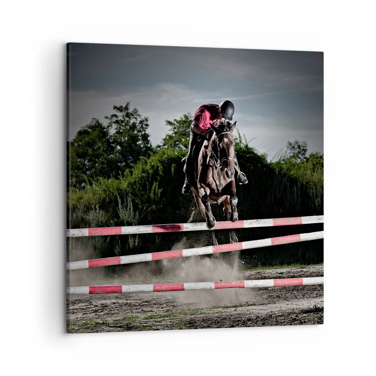 Quadro su tela - Stampe su Tela - Insieme fino alla vittoria - 50x50 cm