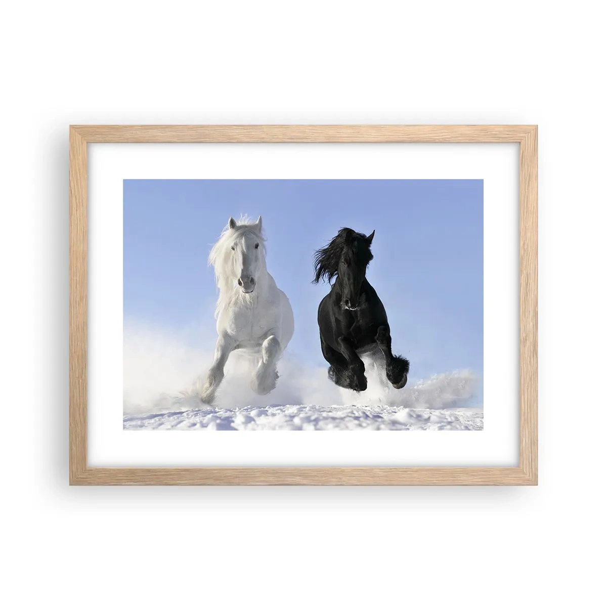 Poster in cornice rovere chiaro - Galoppo in bianco e nero - 40x30 cm