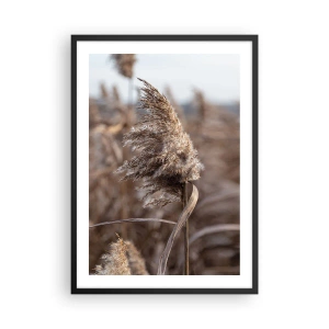 Poster in cornice nera - Primo piano di canne secche in tonalità naturali contro il cielo - 50x70cm - è tempo di volare col vento - Decorazione murale moderna per soggiorno e camera da letto ARTTOR