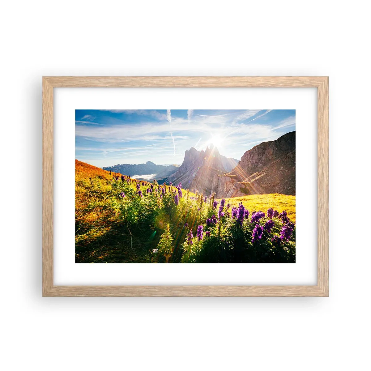 Poster in cornice rovere chiaro - La vita segreta delle erbe - 40x30 cm