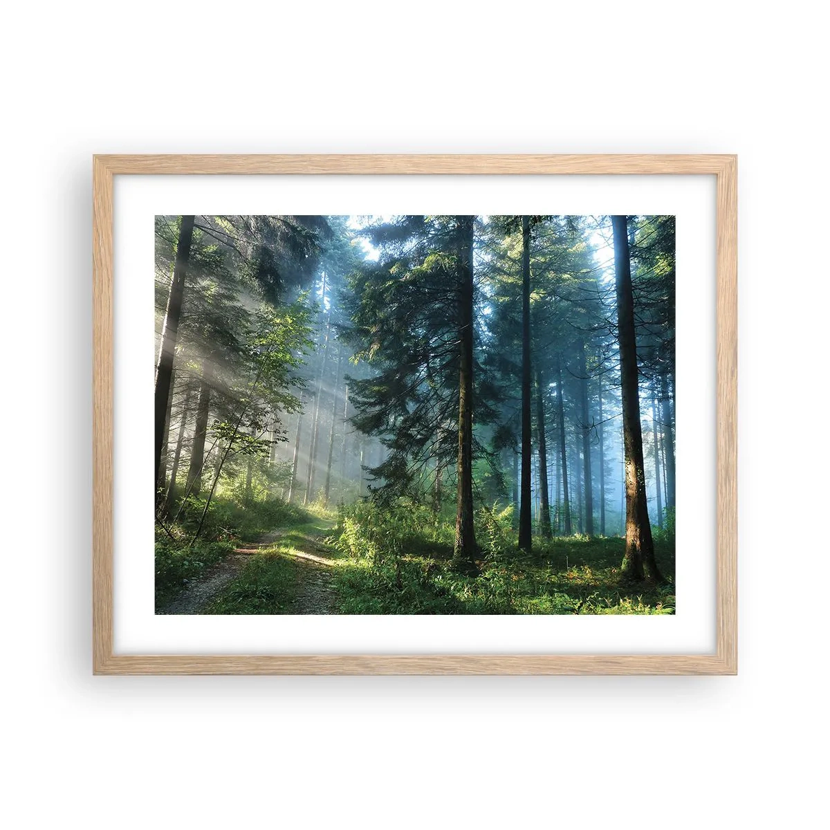 Poster in cornice rovere chiaro - Raggiante all'alba - 50x40 cm