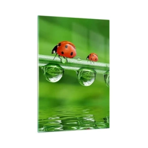 Quadro su vetro - Coccinelle su un filo d'erba con gocce di rugiada in un ambiente naturale - 80x120cm - In cammino per tutta l'estate - Decorazione murale moderna per soggiorno e camera da letto ARTTOR