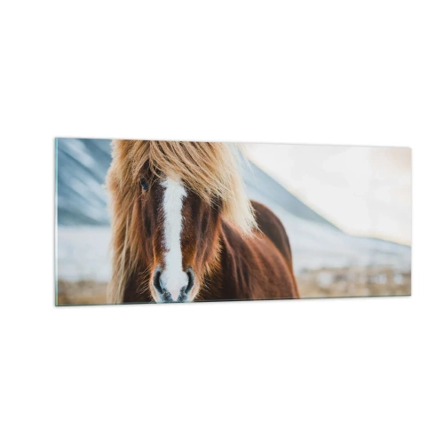 Quadro su vetro - Senti la libertà? - 100x40 cm