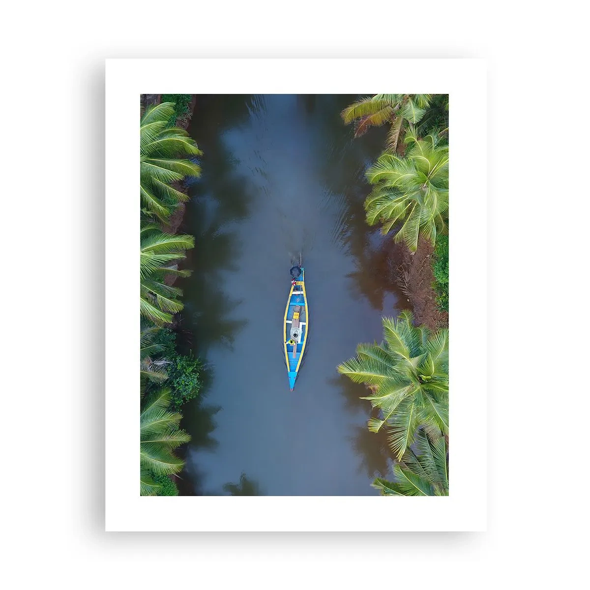 Poster - Sul percorso tropicale - 40x50 cm