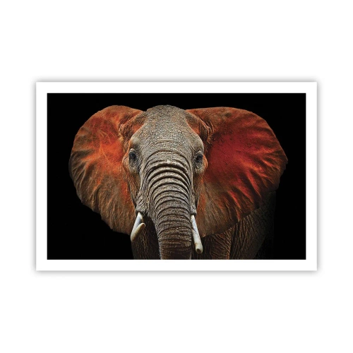 Poster - Sono selvaggio e tu? - 91x61 cm