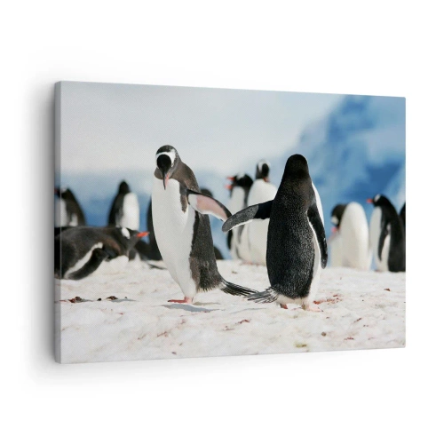 Quadro su tela - Stampe su Tela - Un gruppo di pinguini nella neve in un paesaggio antartico - 70x50cm - Danza sulla neve - Decorazione murale moderna per soggiorno e camera da letto ARTTOR