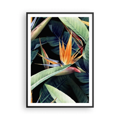 Poster in cornice nera - I fiori fiammeggianti dei tropici - 70x100 cm