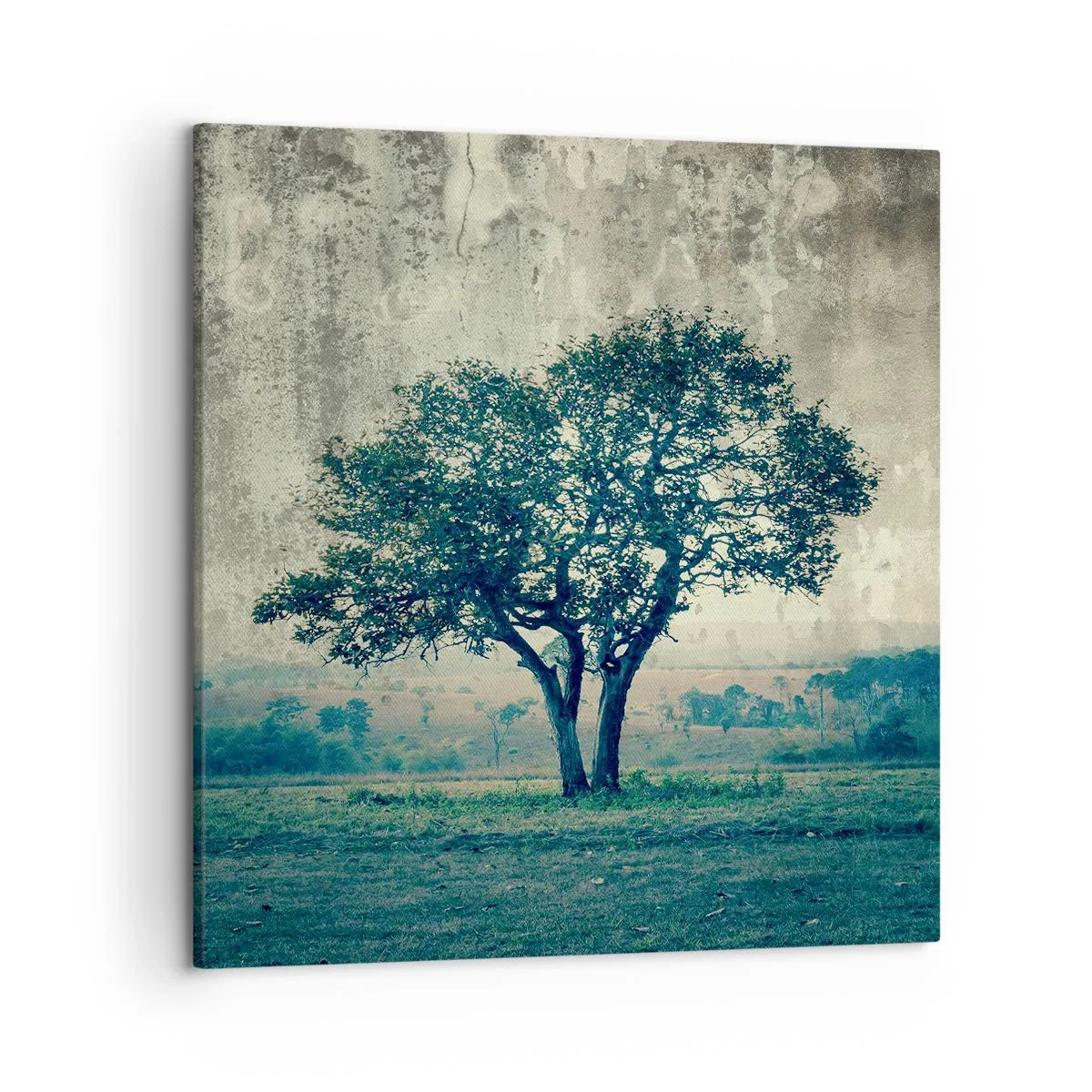Quadro su tela - Stampe su Tela - Un melo su un prato blu? - 50x50 cm