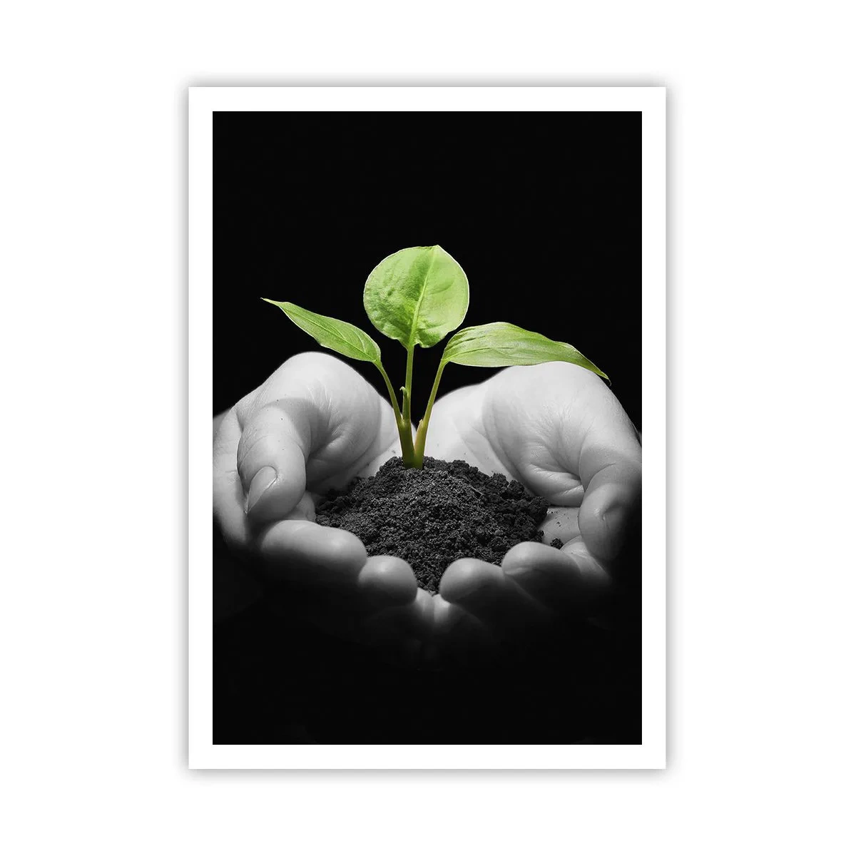Poster - Amo la natura, la proteggo - 70x100 cm