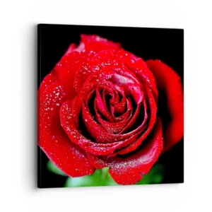 Quadro su tela - Stampe su Tela - Ecco l'amore - 30x30 cm