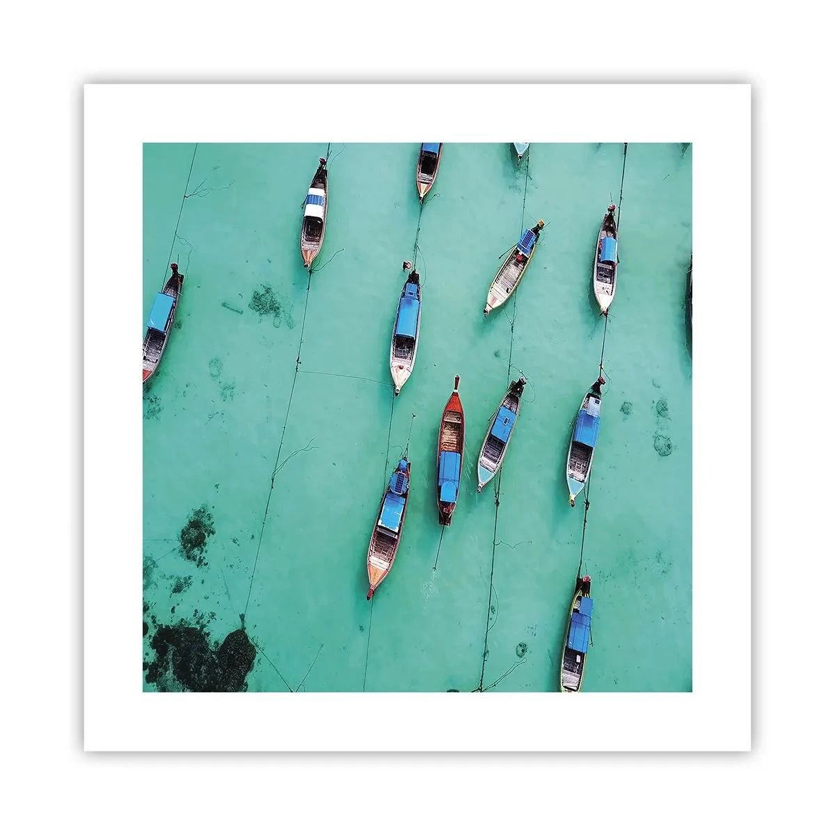 Poster - In gioiosa attesa - 40x40 cm