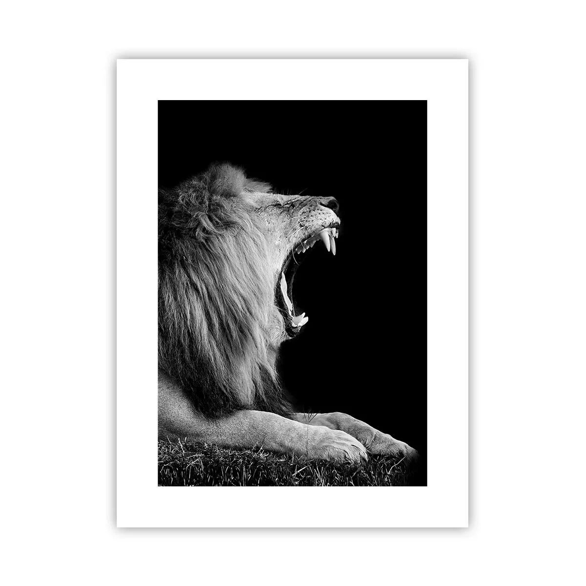 Poster - Senza alcun dubbio - 30x40 cm