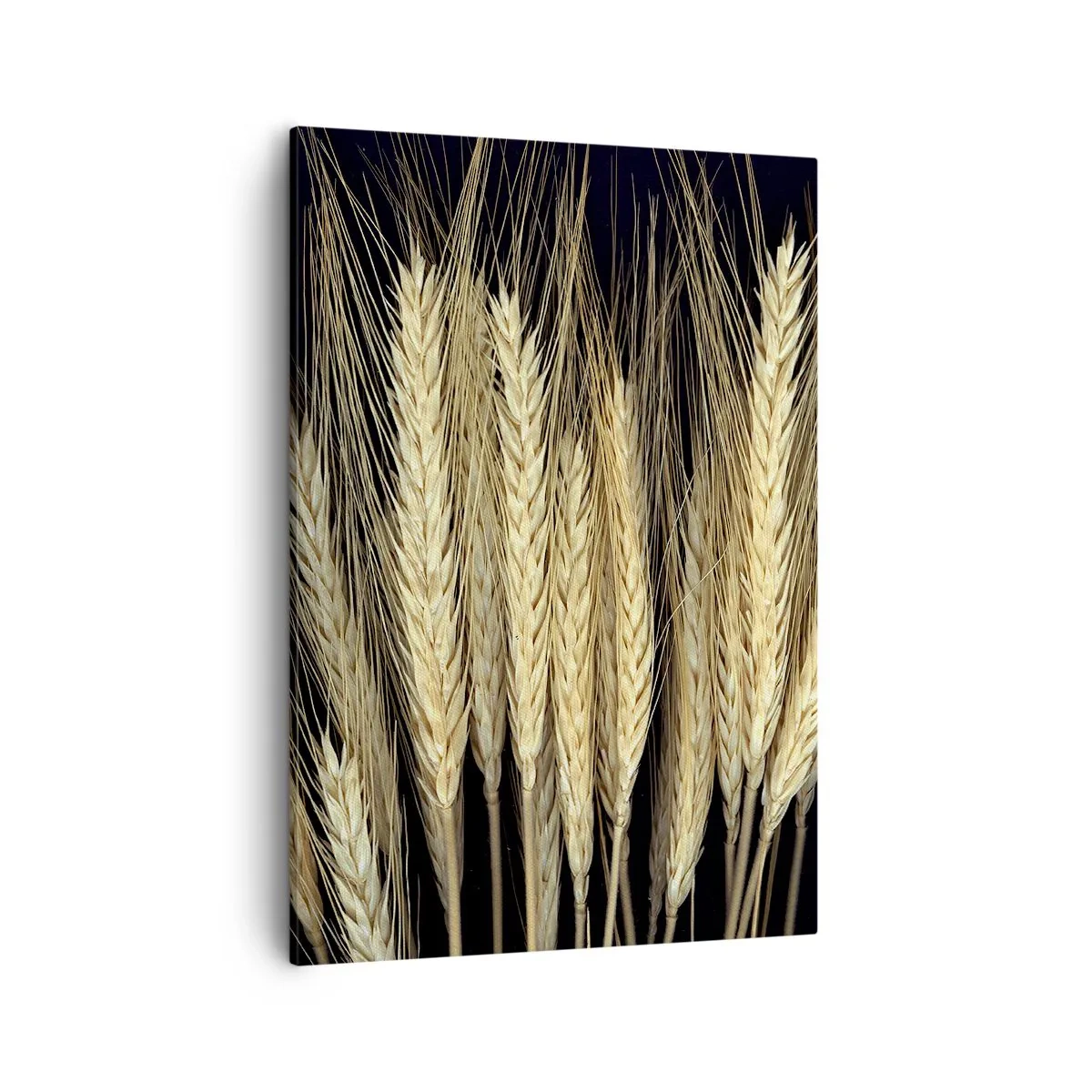 Quadro su tela - Stampe su Tela - Spighe di grano su sfondo nero in stile rustico - 50x70cm - Magia rustica - Decorazione murale moderna per soggiorno e camera da letto ARTTOR