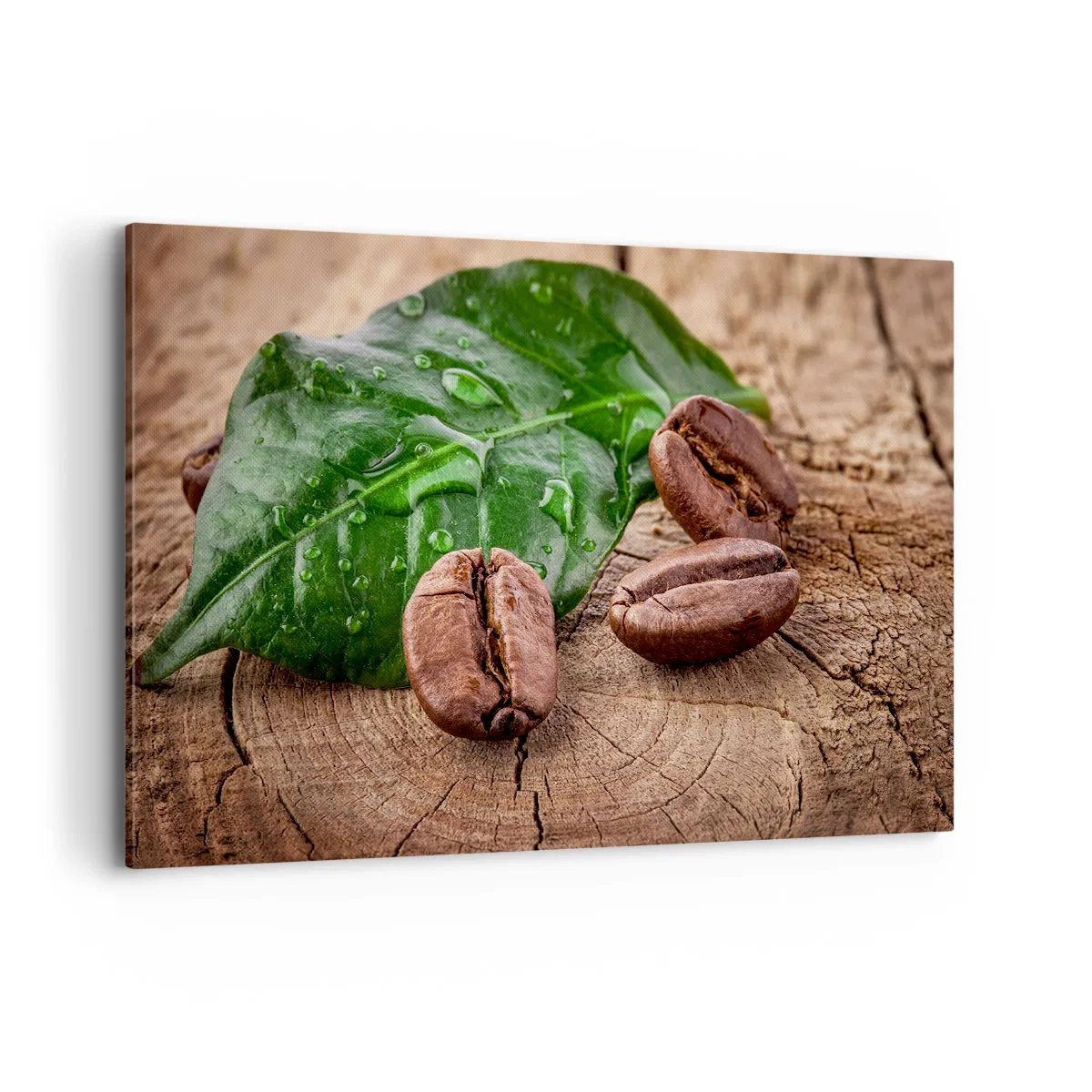 Quadro su tela - Stampe su Tela - Chicchi di caffè e foglia verde su uno sfondo di legno - 120x80cm - Nero e autentico - Decorazione murale moderna per soggiorno e camera da letto ARTTOR