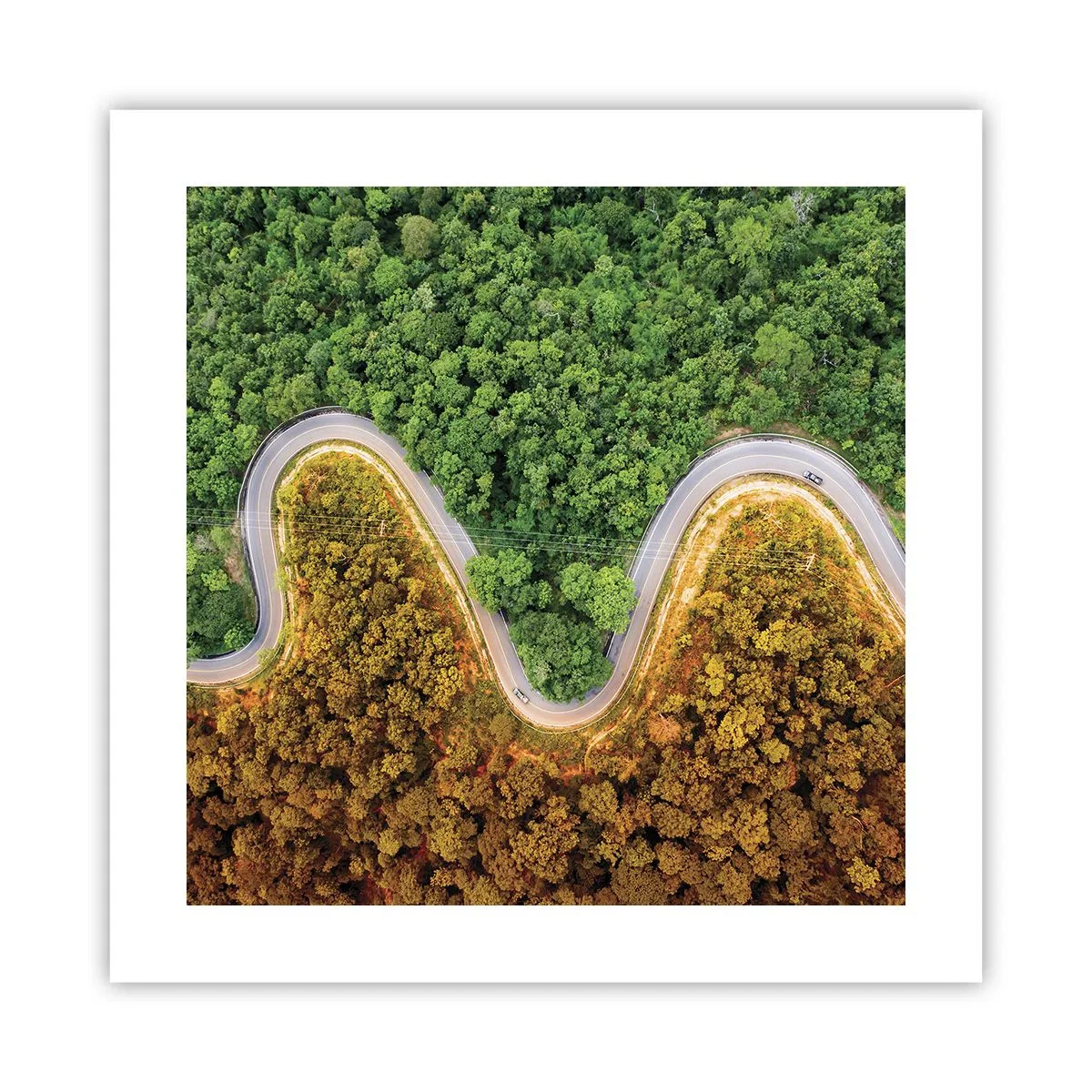 Poster - Confine e separazione - 40x40 cm
