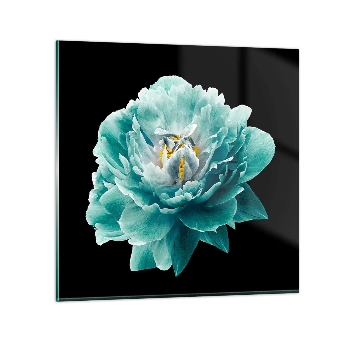 Quadro su vetro - Petali blu e oro - 30x30 cm