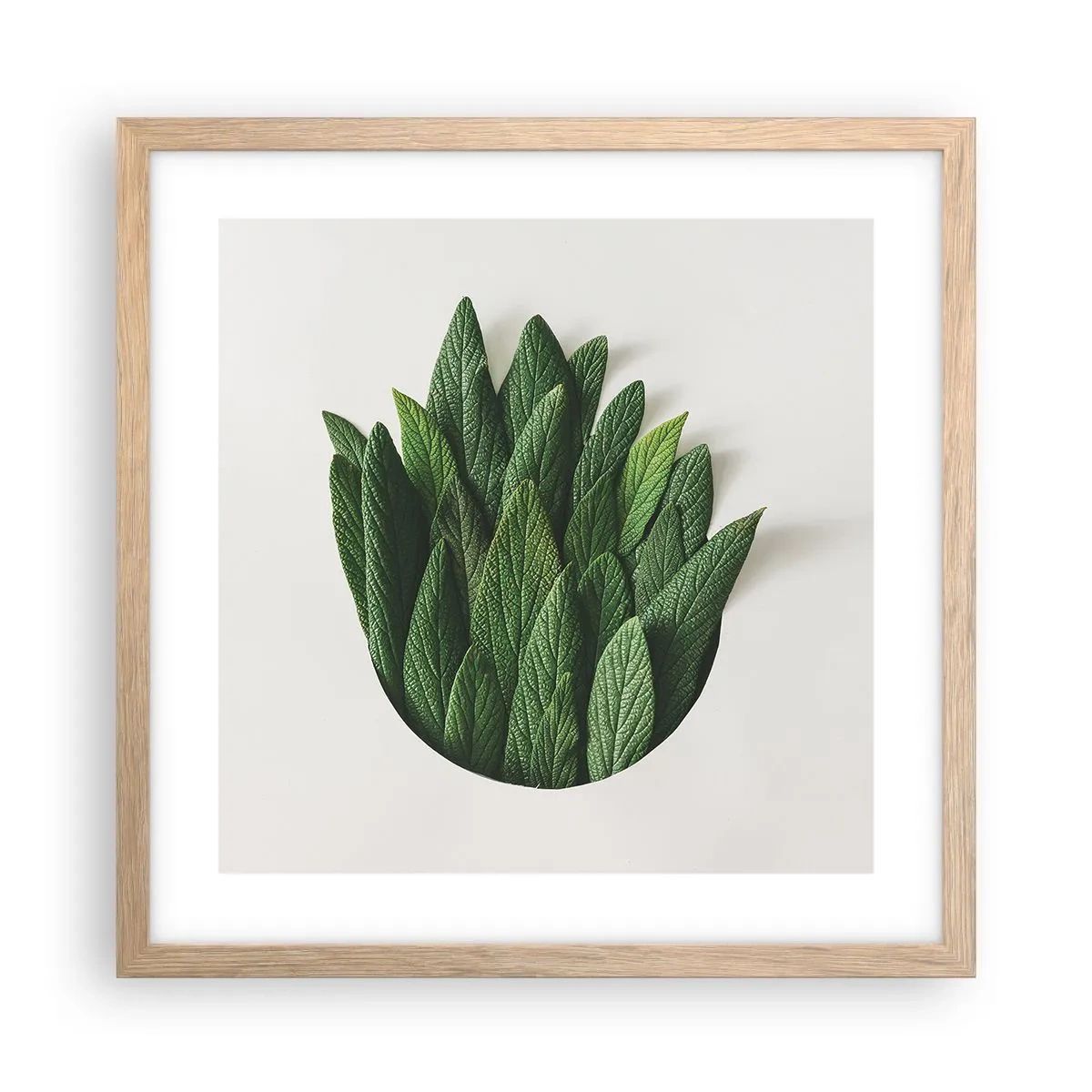 Poster in cornice rovere chiaro - Curiosità irrefrenabile - 40x40 cm