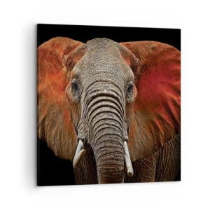 Quadro su tela - Stampe su Tela - Sono selvaggio e tu? - 50x50 cm