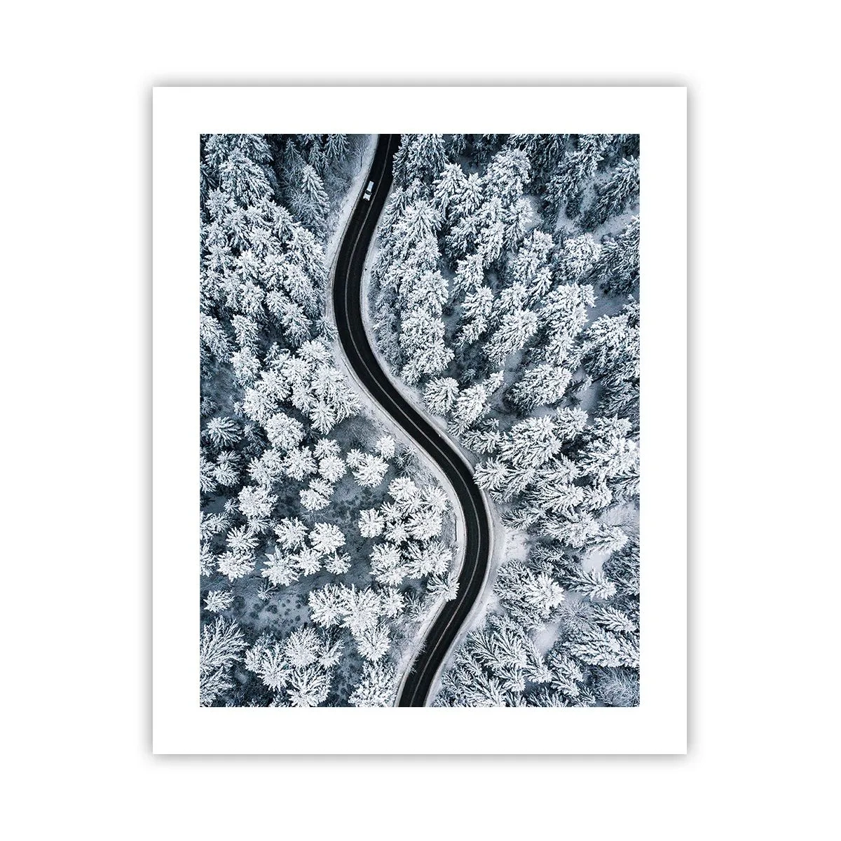 Poster - Attraverso il bosco invernale - 40x50 cm