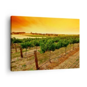Quadro su tela - Stampe su Tela - Viti in una piantagione al tramonto dorato - 70x50cm - Ubriacarsi di sole - Decorazione murale moderna per soggiorno e camera da letto ARTTOR